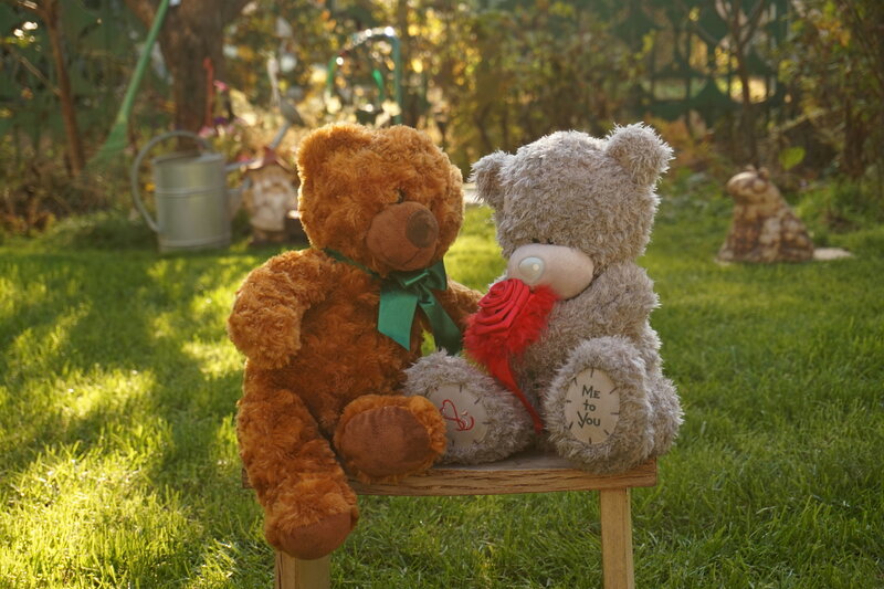 Two Teddy Bears on Bench — Brown, Serene