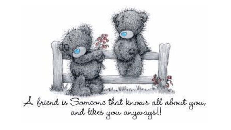Two Teddy Bears on Bench — Gray