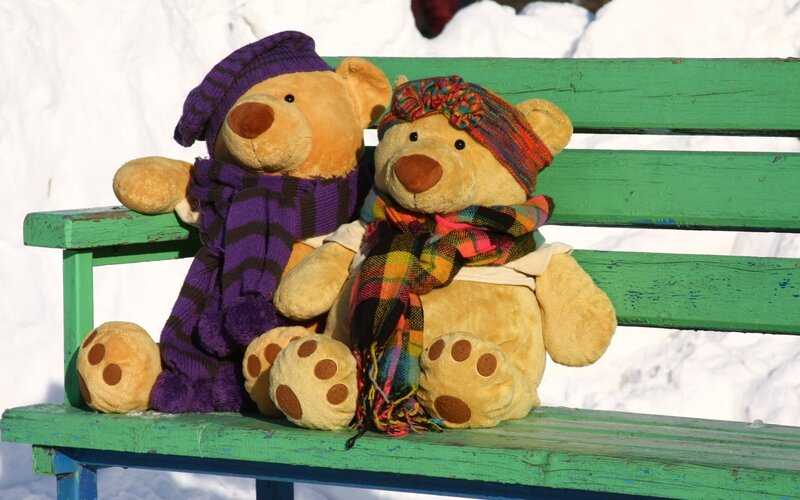 Two Teddy Bears on Bench — Green, Calm, Winter, Photograph