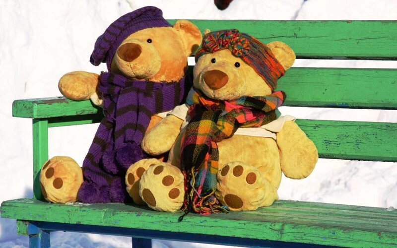Two Teddy Bears on Bench — Green, Calm, Winter