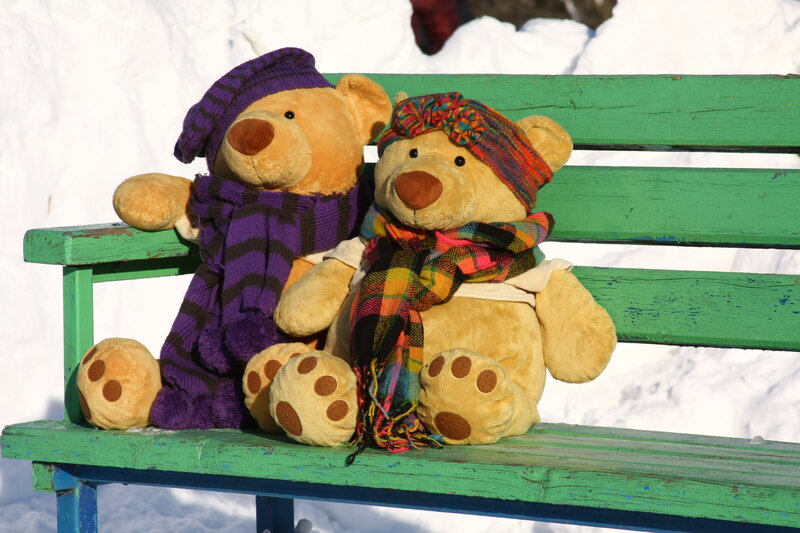 Two Teddy Bears on Bench — Green