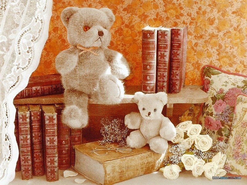 Two Teddy Bears on Books