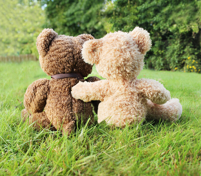 Two Teddy Bears on Grass — Green