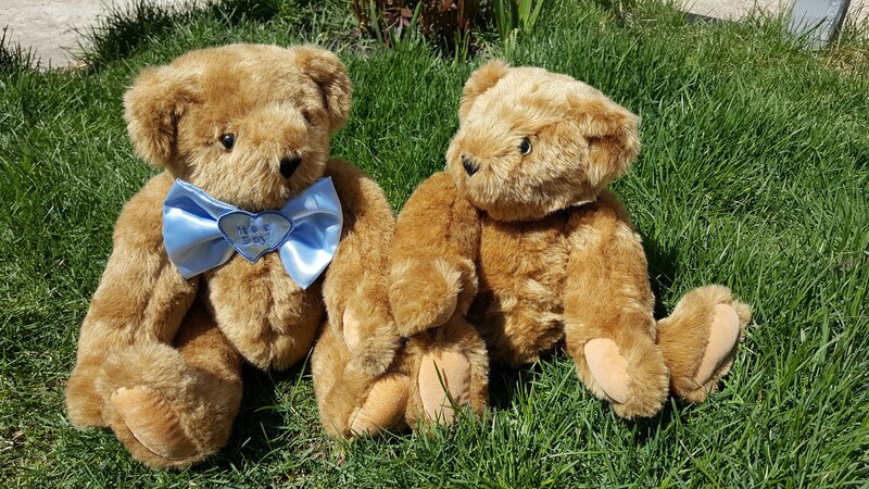 Two teddy bears on grass