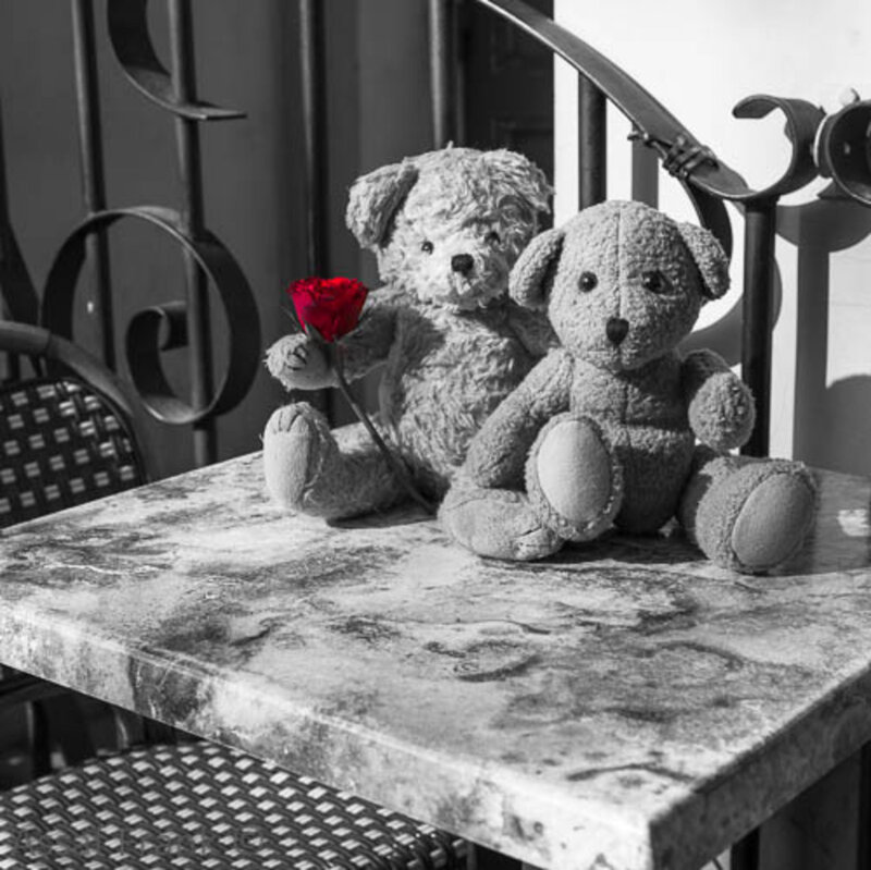 Two Teddy Bears on Table — Black