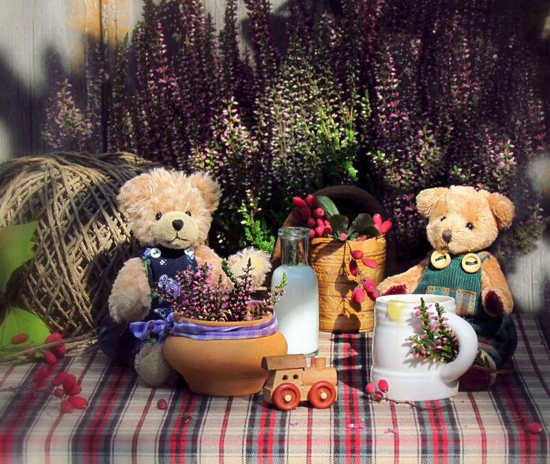 Two Teddy Bears on Table — Red