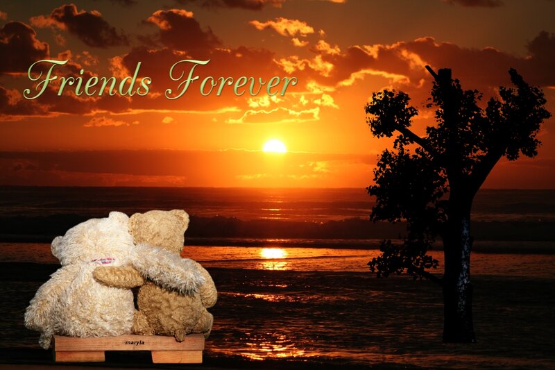 Two Teddy Bears — Orange