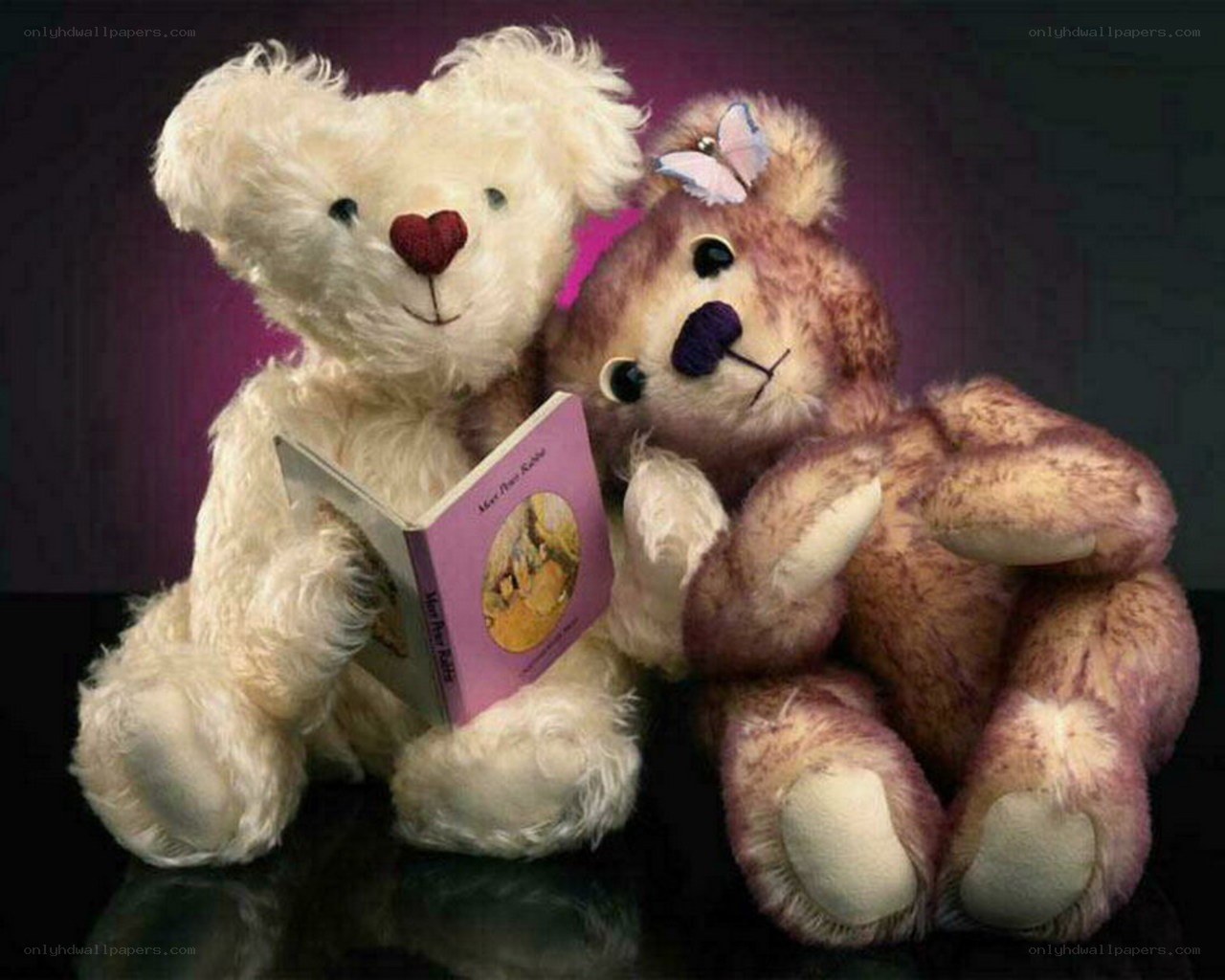 Two teddy bears reading a book