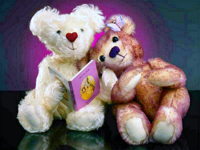 Two Teddy Bears Reading