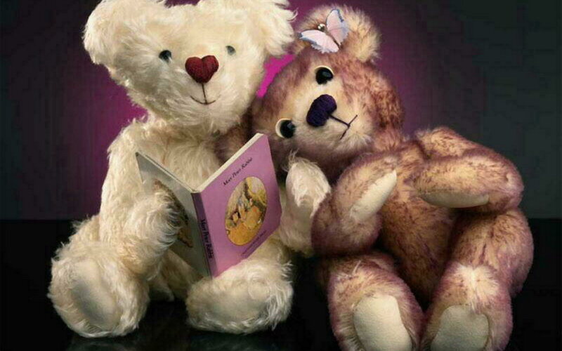 Two Teddy Bears Reading — White
