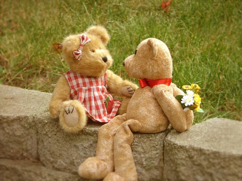 Two Teddy Bears Sitting