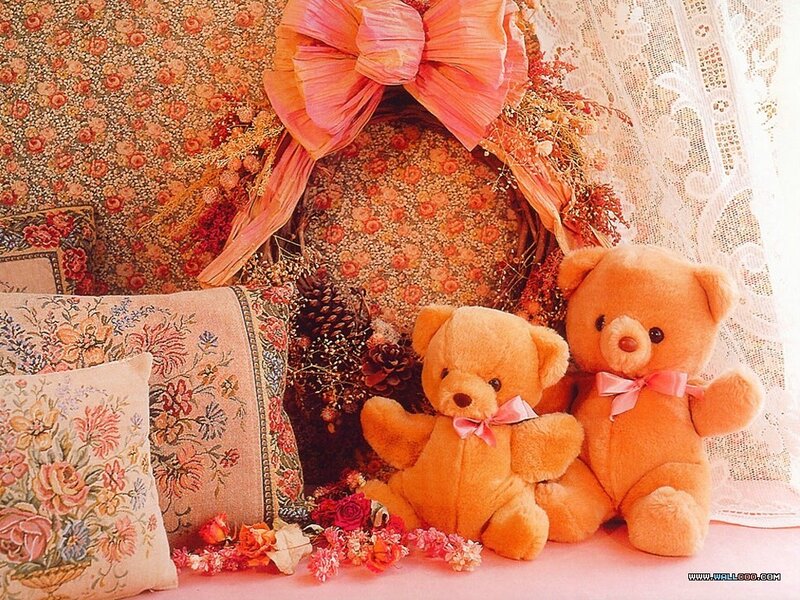 Two Teddy Bears
