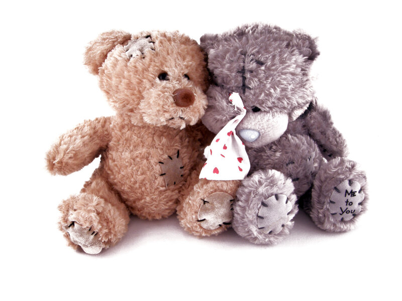 Two teddy bears together