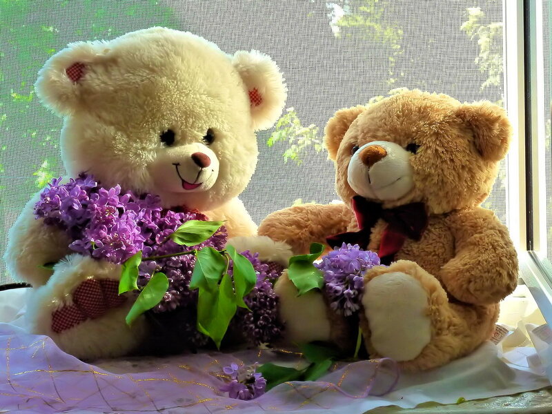 Two Teddy Bears with Flowers — Purple, Calm