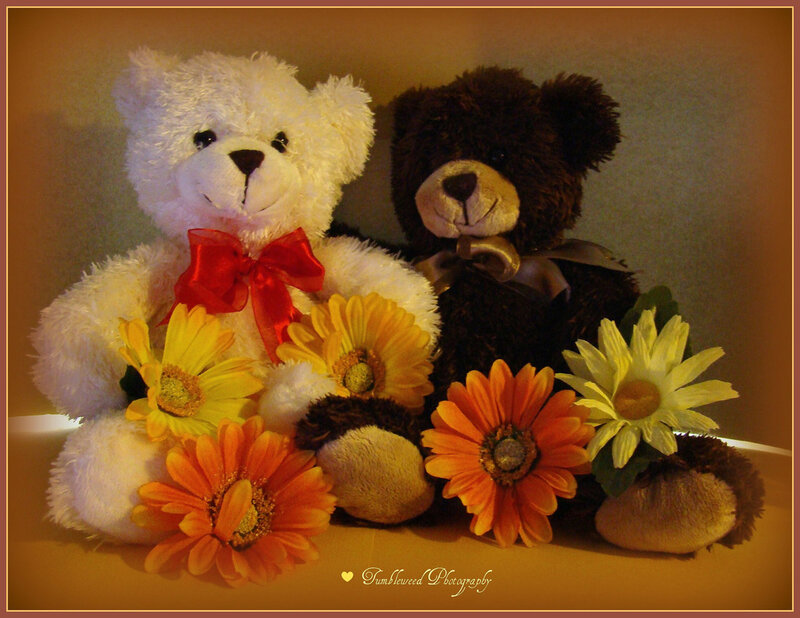 Two Teddy Bears with Flowers — White