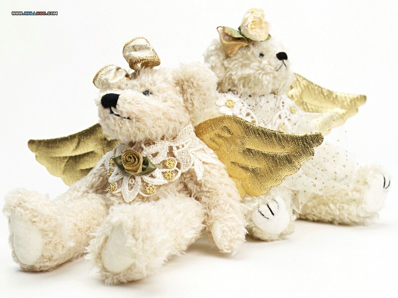 Two Teddy Bears with Wings