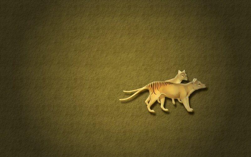 Two Thylacines Walking — Brown