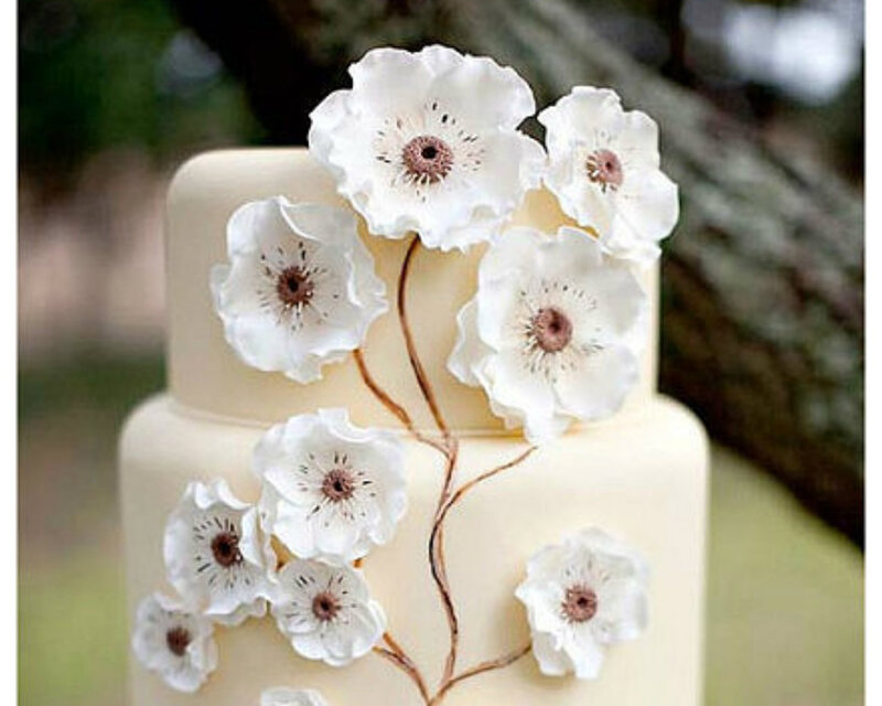 Two-tiered Cake with Flowers — White