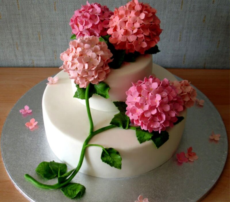 Two-tiered Cake with Hydrangeas
