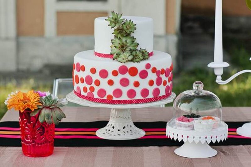 Two-tiered Cake with Succulents