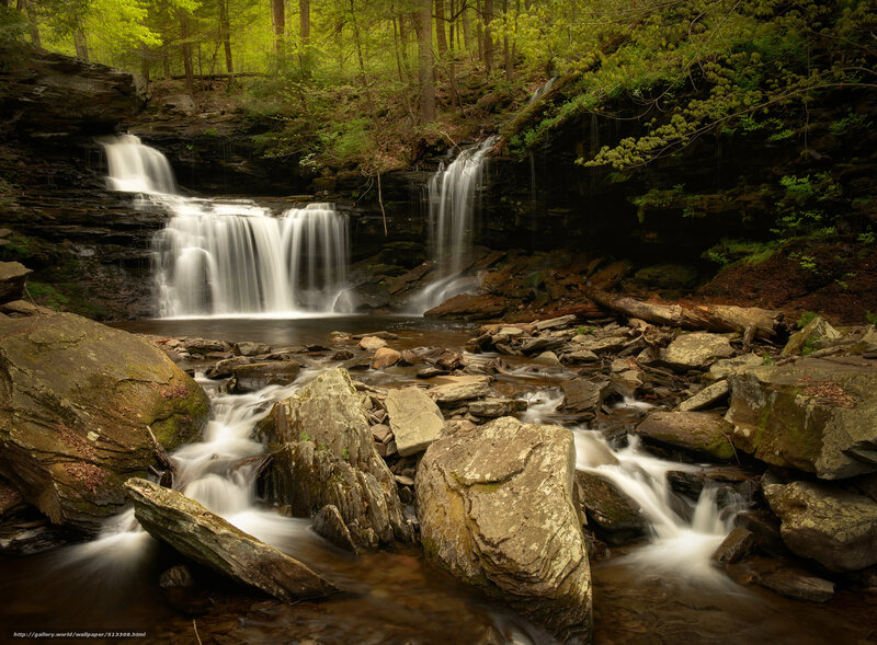 Two-tiered Waterfall — Green, Serene, Afternoon