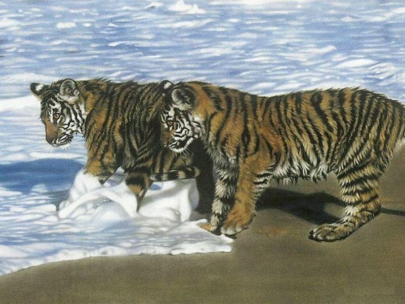 Two Tiger Cubs — Brown, Calm, Painting