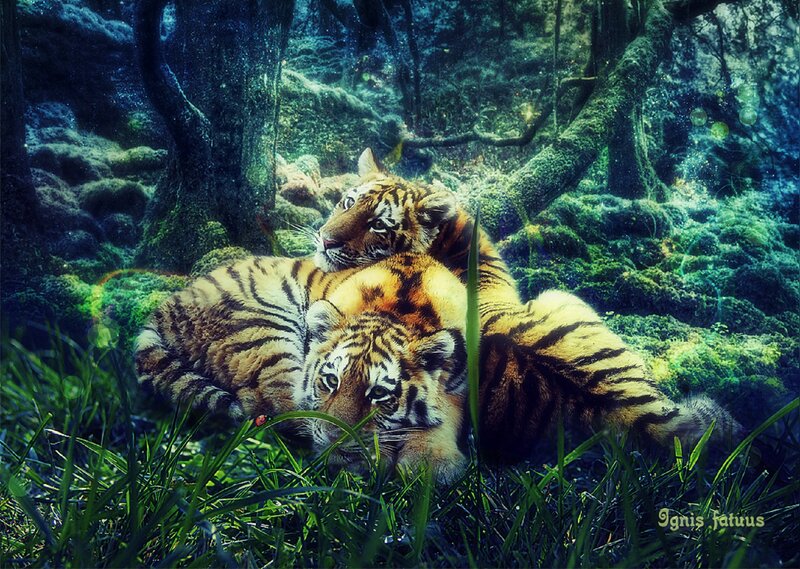 Two Tiger Cubs — Green