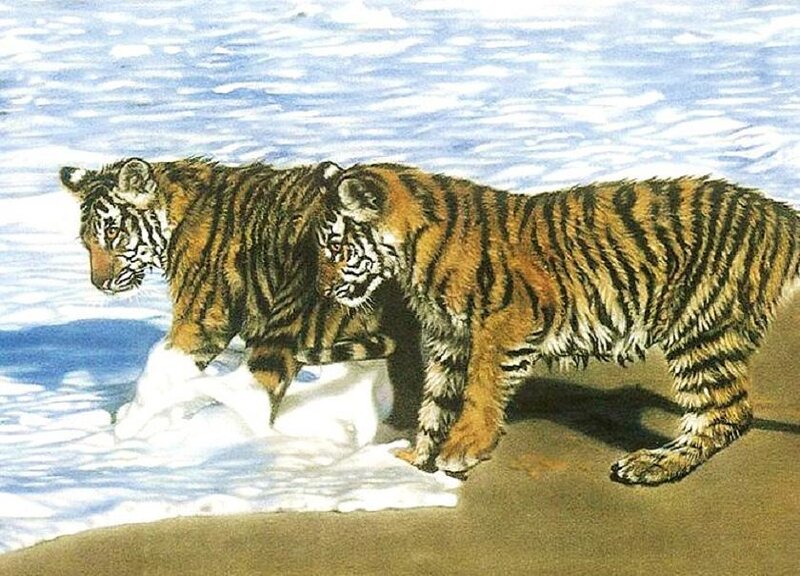 Two tiger cubs on a beach