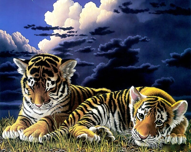 Two Tiger Cubs — Orange, Dramatic, Night, Digital Art, Grass, Clouds