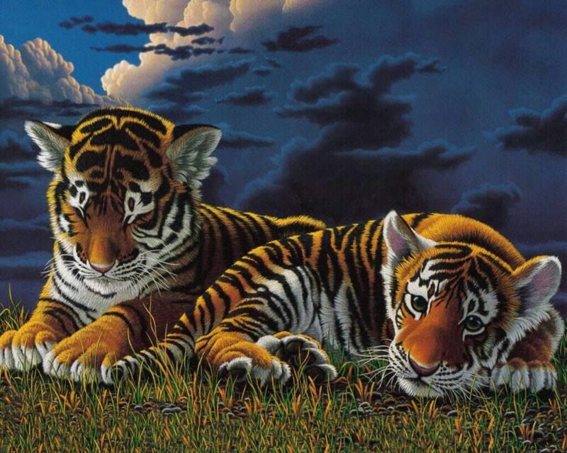 Two Tiger Cubs — Orange, Dramatic, Night, Illustration, Grass