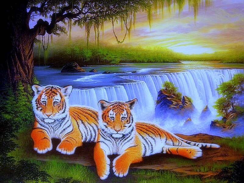 Two Tiger Cubs — Orange, Serene