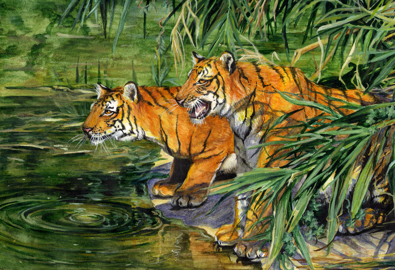 Two Tigers at Water — Green