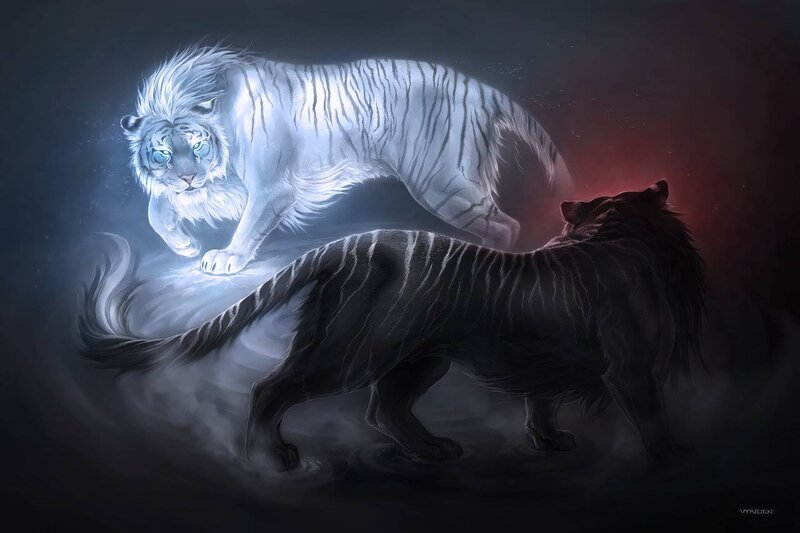 Two Tigers Facing Each Other