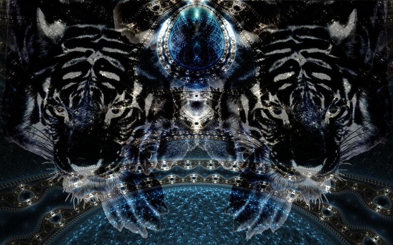 Two Tigers Facing Forward — Black