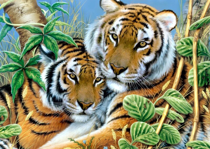 Two Tigers in Grass — Orange, Calm