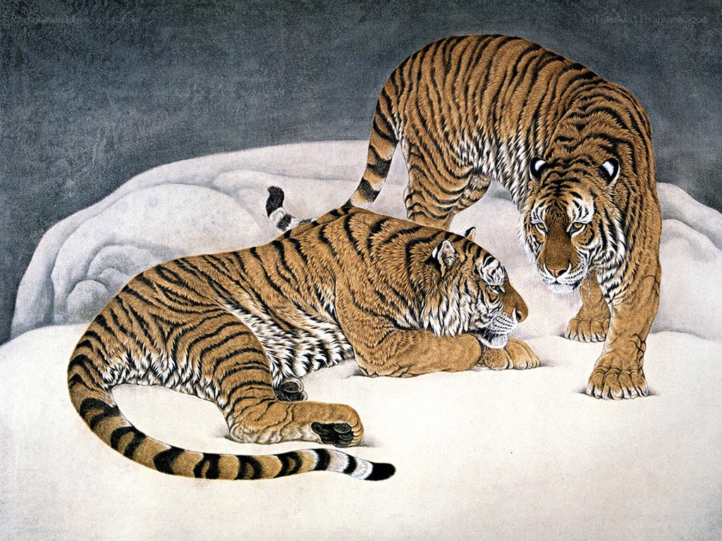 Two tigers in the snow