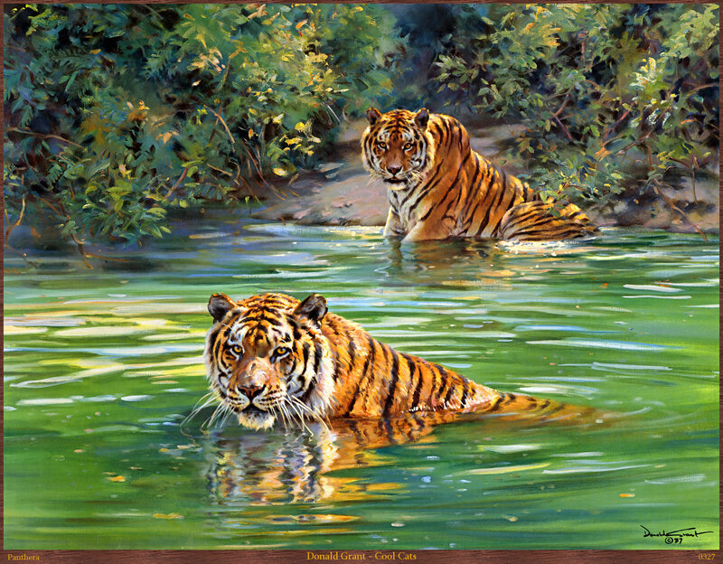 Two Tigers in Water — Green