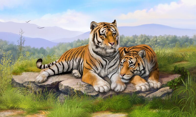 Two Tigers on a Rock — Orange, Serene, Afternoon