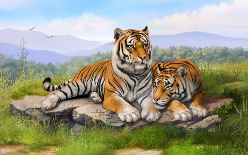 Two Tigers on a Rock — Orange