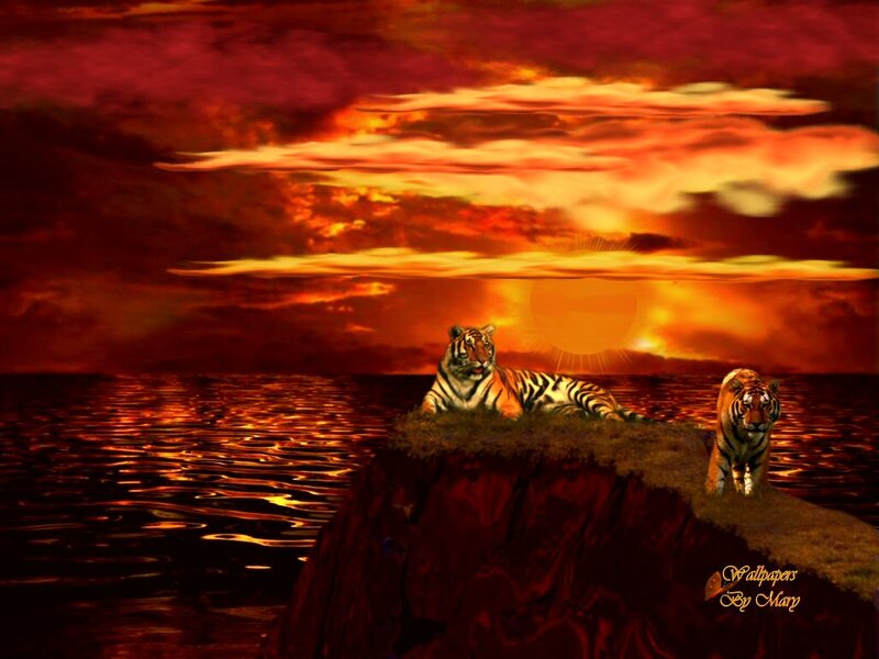 Two Tigers on a Rock