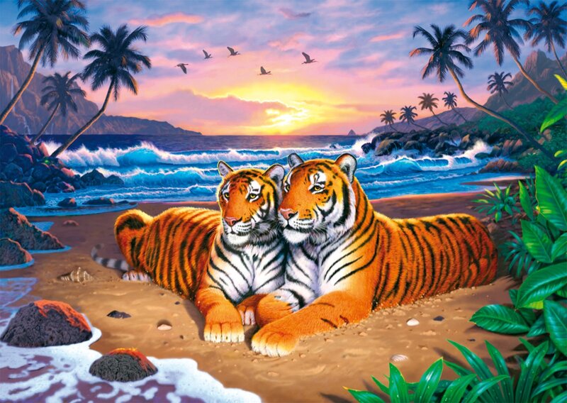 Two Tigers on Beach — Orange