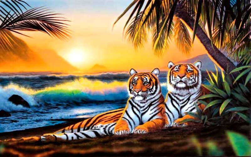 Two Tigers on Beach