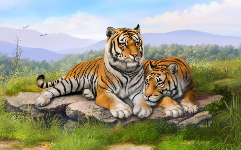 Two Tigers on Rock — Orange