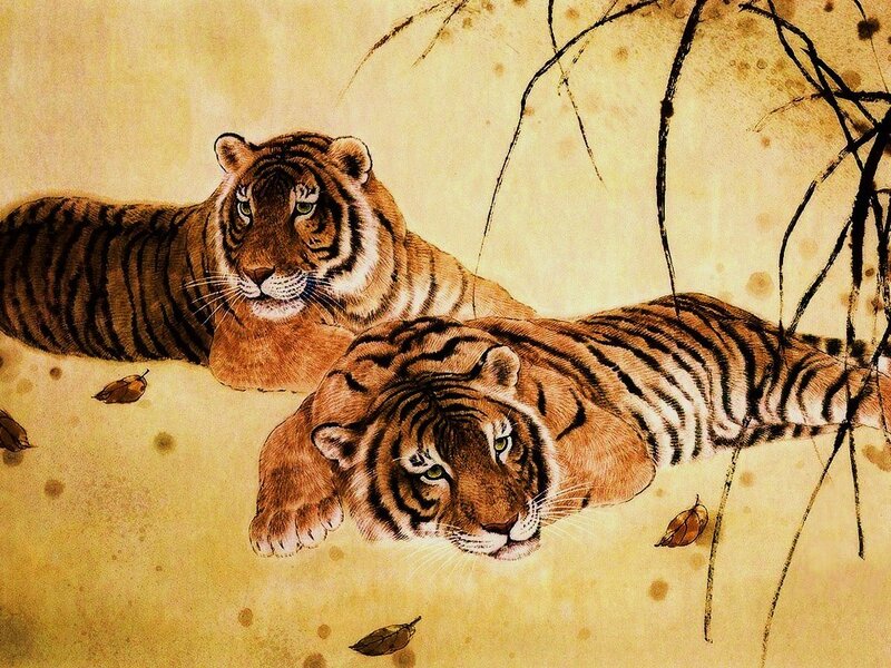 Two tigers resting in nature