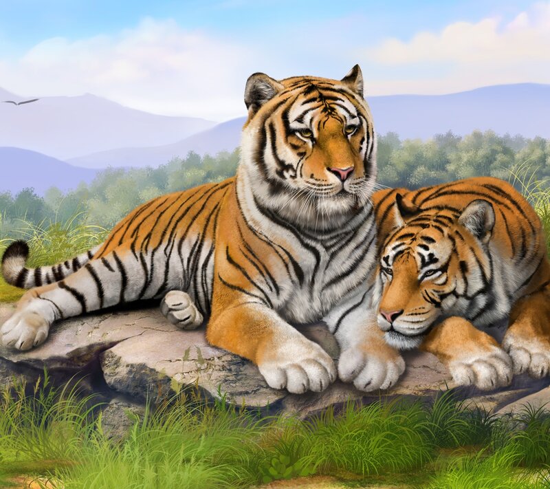 Two Tigers Resting — Orange, Serene