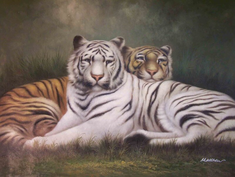 Two Tigers Resting — White
