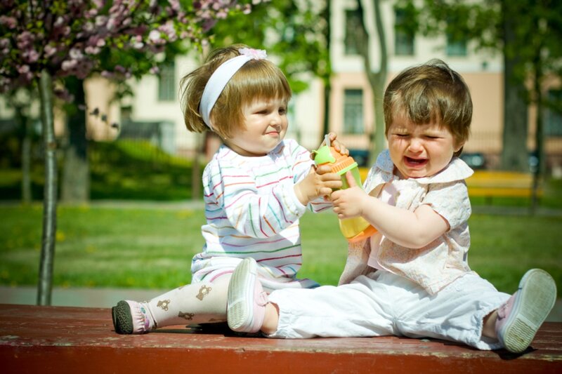 Two Toddlers Fighting