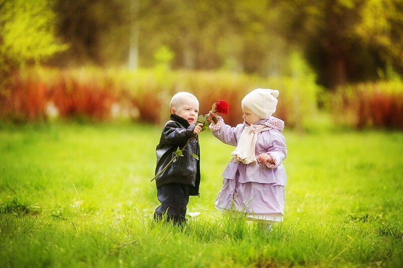 Two Toddlers Sharing a Rose