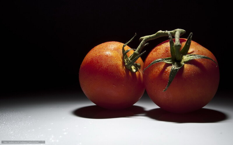 Two tomatoes on a dark background