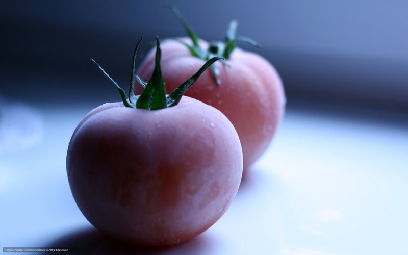 Two Tomatoes on Surface